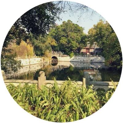 完美世界云游戏版下载